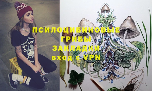 ГАЛЛЮЦИНОГЕННЫЕ ГРИБЫ Арсеньев