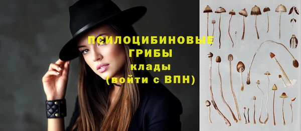 ГАЛЛЮЦИНОГЕННЫЕ ГРИБЫ Арсеньев