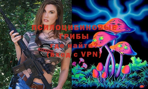 МДПВ Армянск