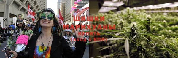 дурь Аркадак
