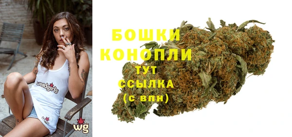 дурь Аркадак