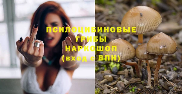 ГАЛЛЮЦИНОГЕННЫЕ ГРИБЫ Арсеньев