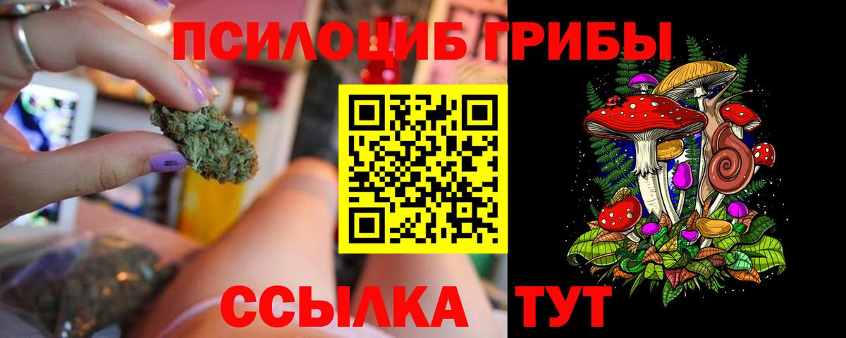 Галлюциногенные грибы GOLDEN TEACHER Кирово-Чепецк